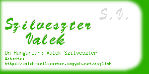 szilveszter valek business card